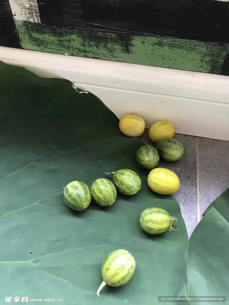 西瓜水果 