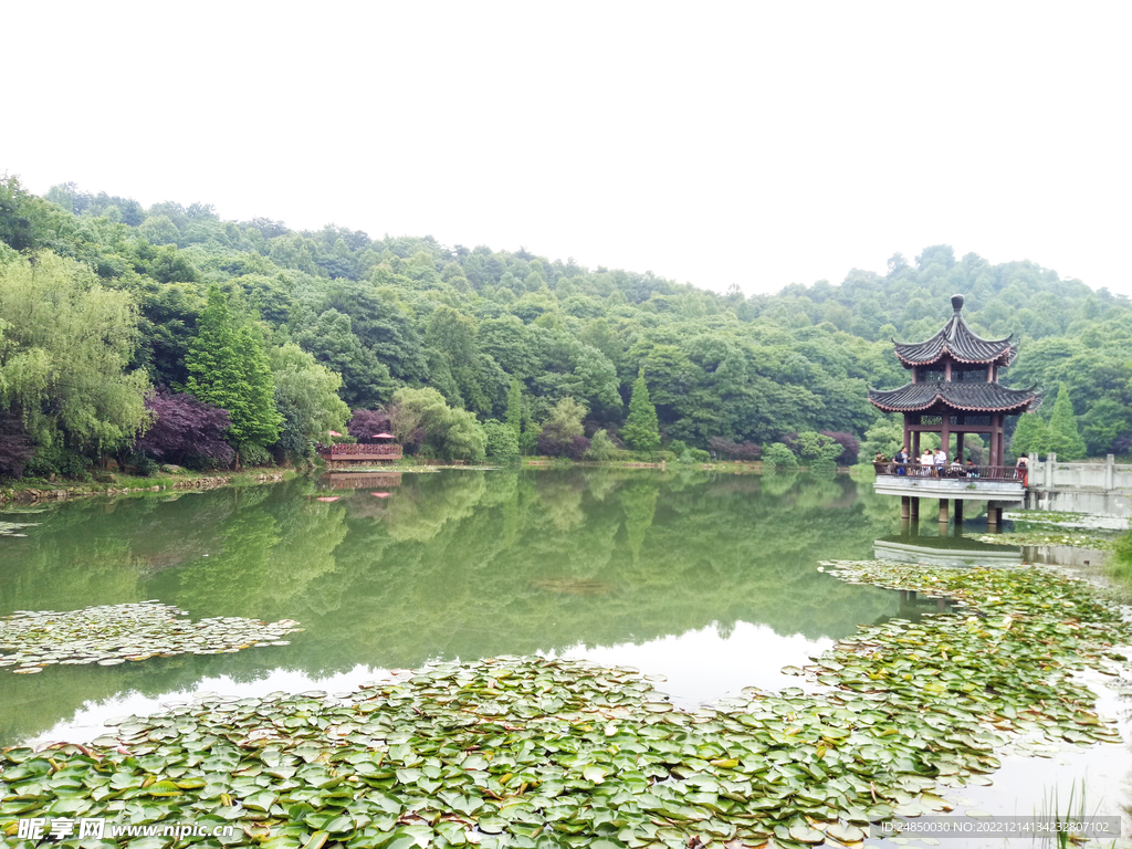 岳麓山夏日