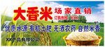 大香米不干胶