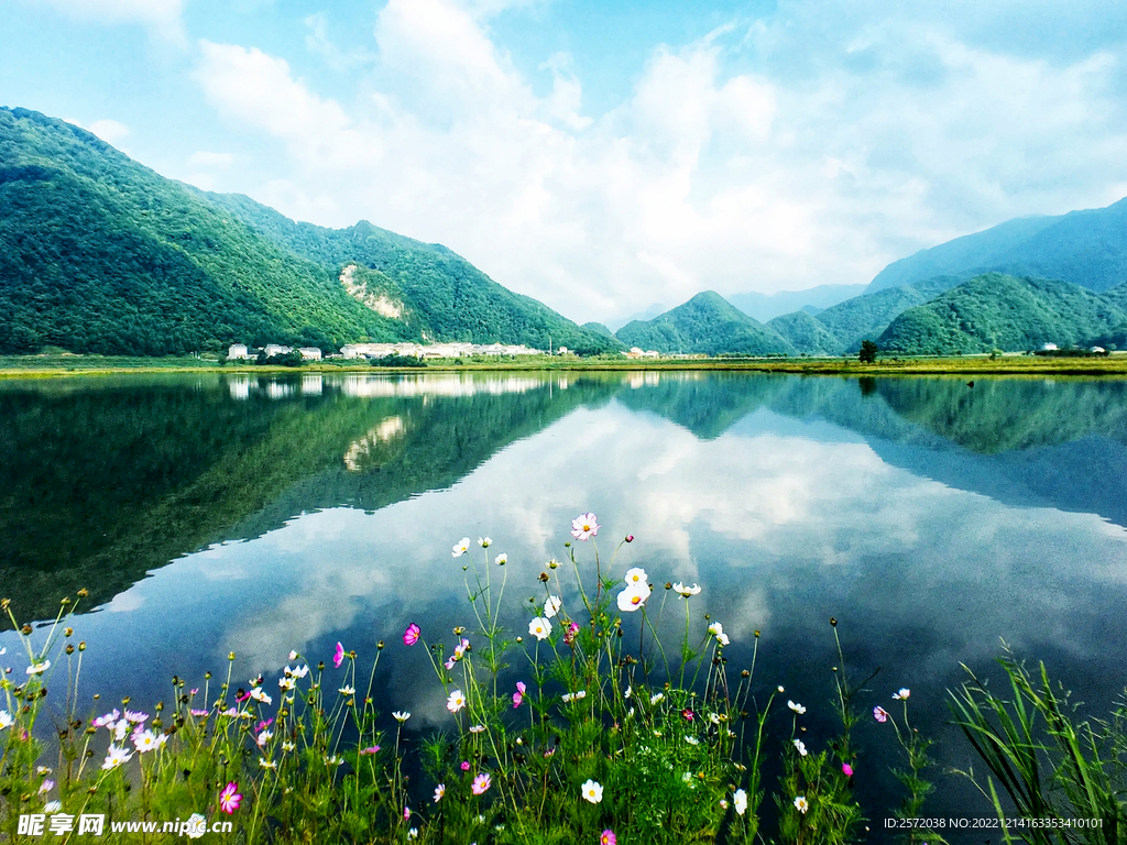 湖北大九湖湿地