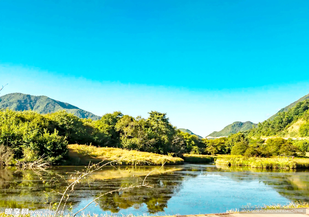 湖北大九湖湿地