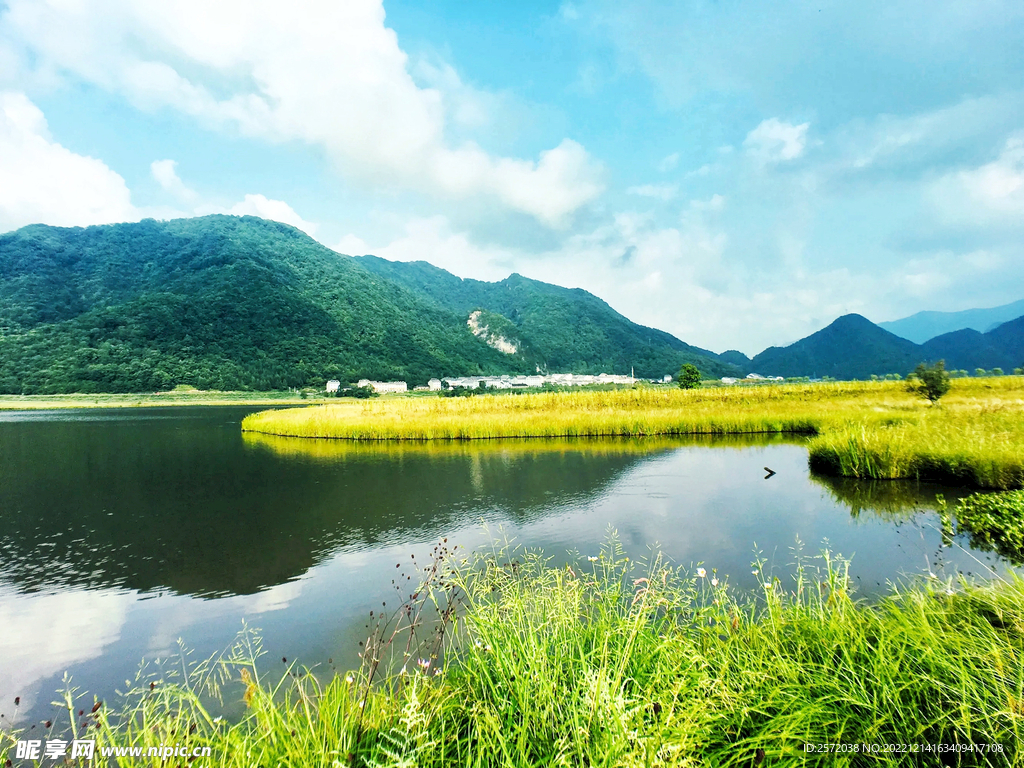 湖北大九湖湿地