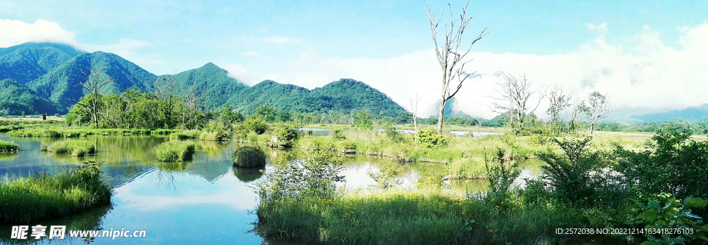 湖北大九湖湿地