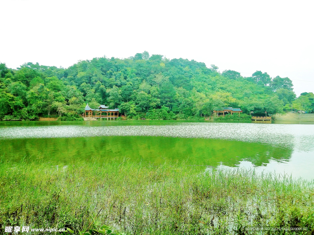 广西平果芦仙湖湿地