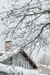 雪景