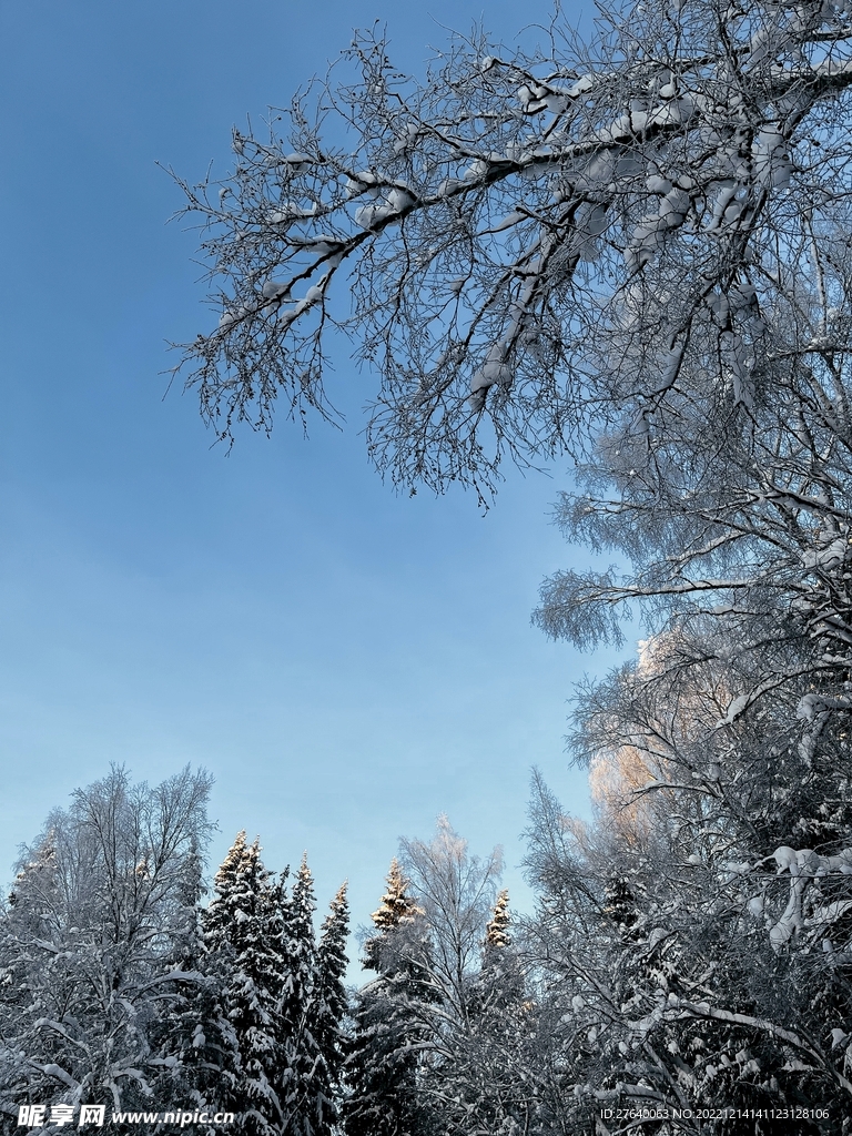 雪景