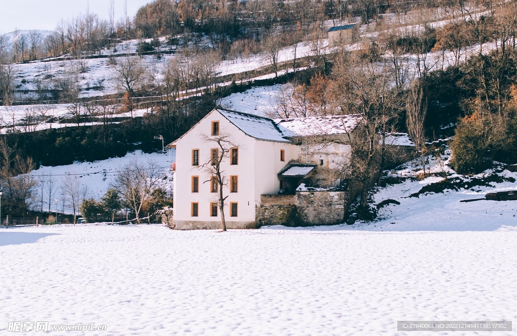 雪景