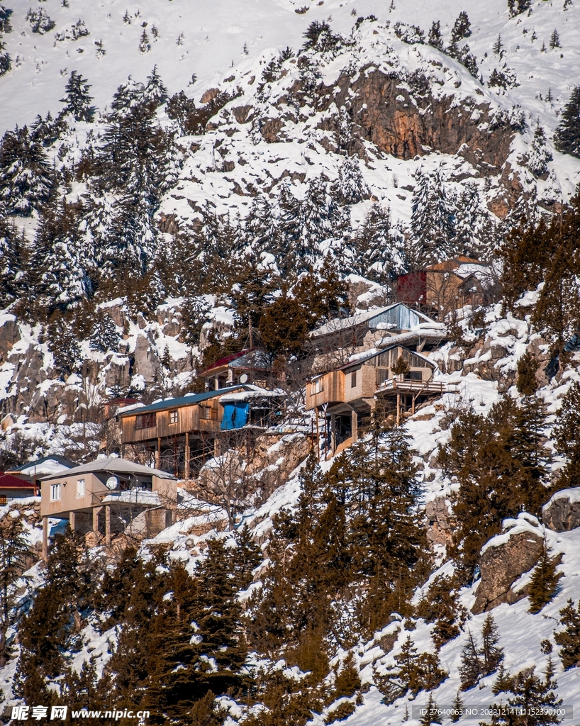 雪景 图片