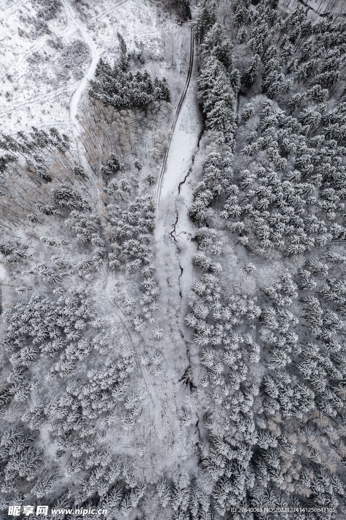 雪景图片