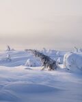 雪景图片