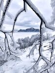雪景图片