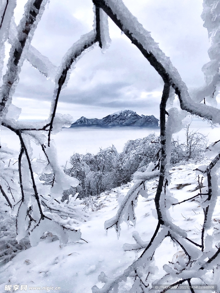 雪景图片