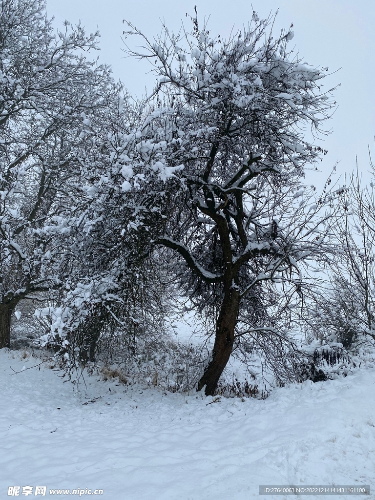 雪景图片