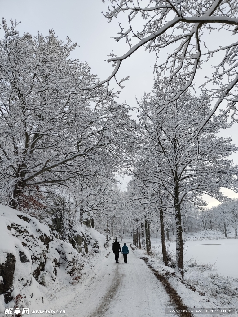 雪景图片