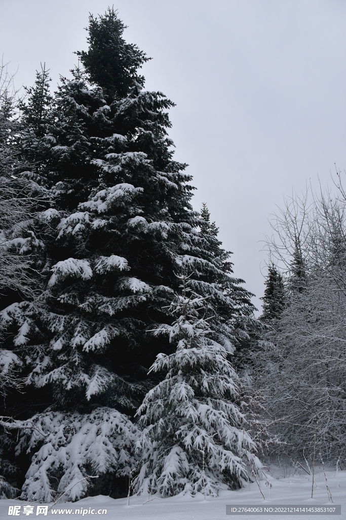 雪景图片