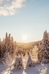 雪景图片