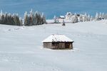 雪景图片