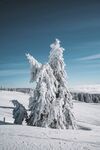 雪景图片