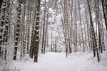 雪景图片