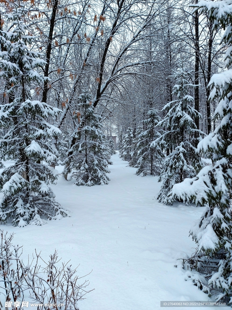 雪景图片