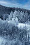 雪景图片