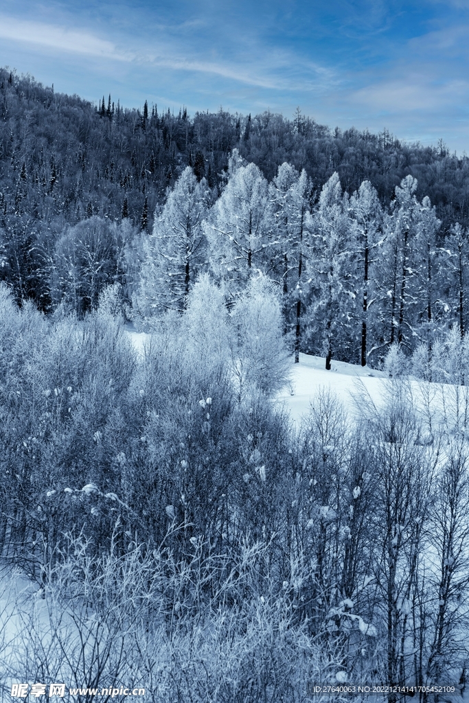 雪景图片