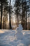 雪景图片