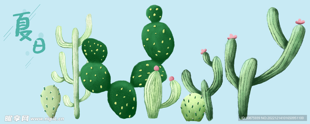 植物插画