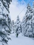 滑雪