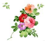 数码印花玫瑰花