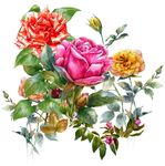 数码印花大花