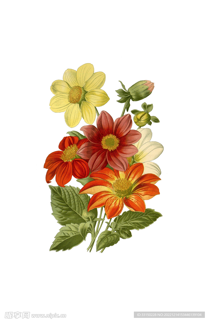 数码印花水彩花