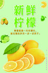 柠檬海报