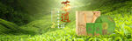 茶叶bannner