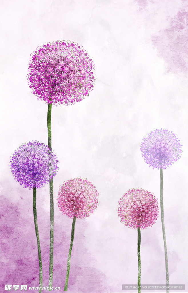 紫色花球蒲公英psd素材