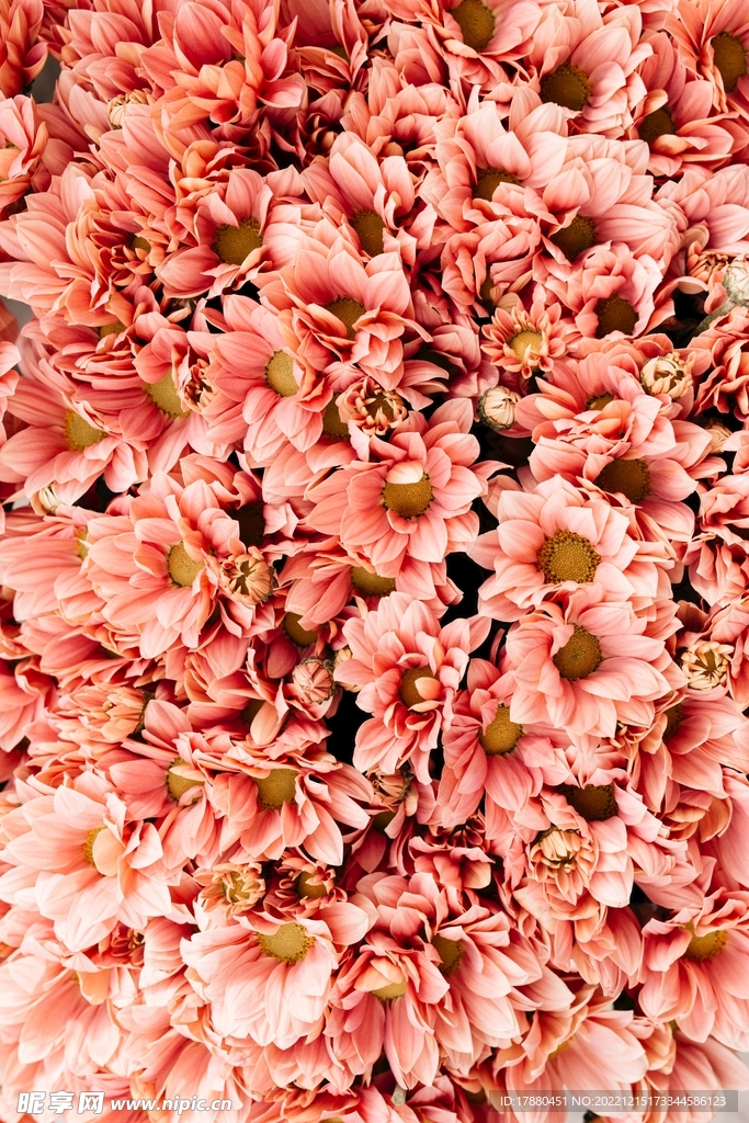 花卉