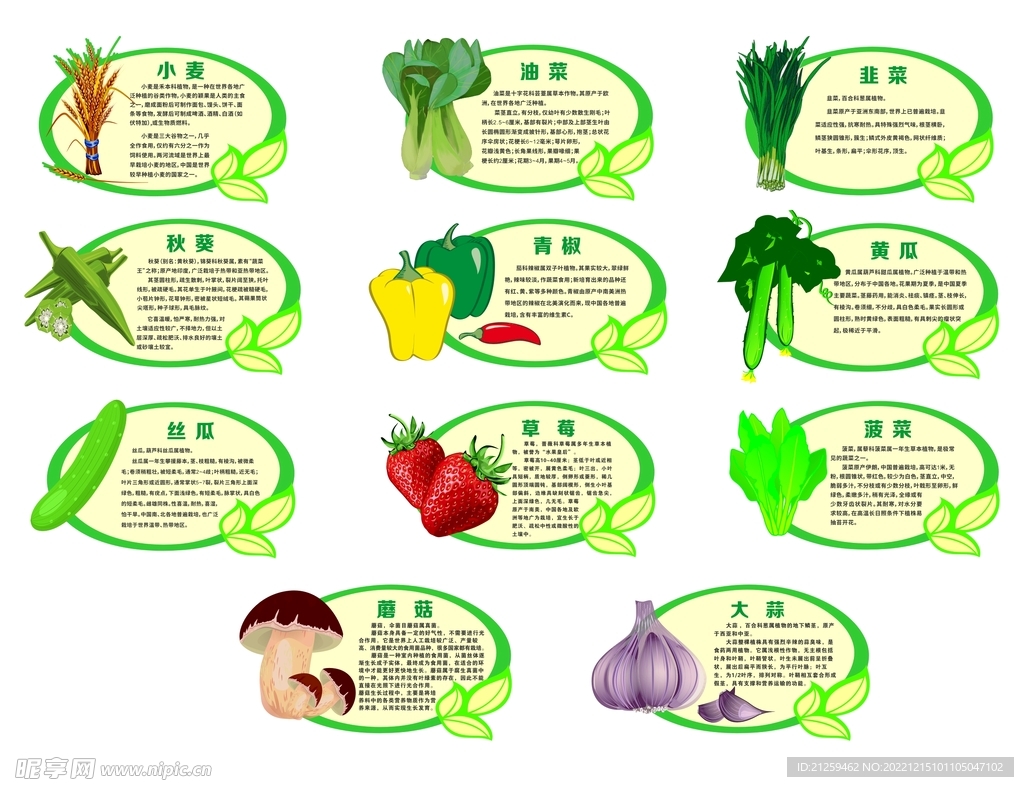 蔬菜介绍牌