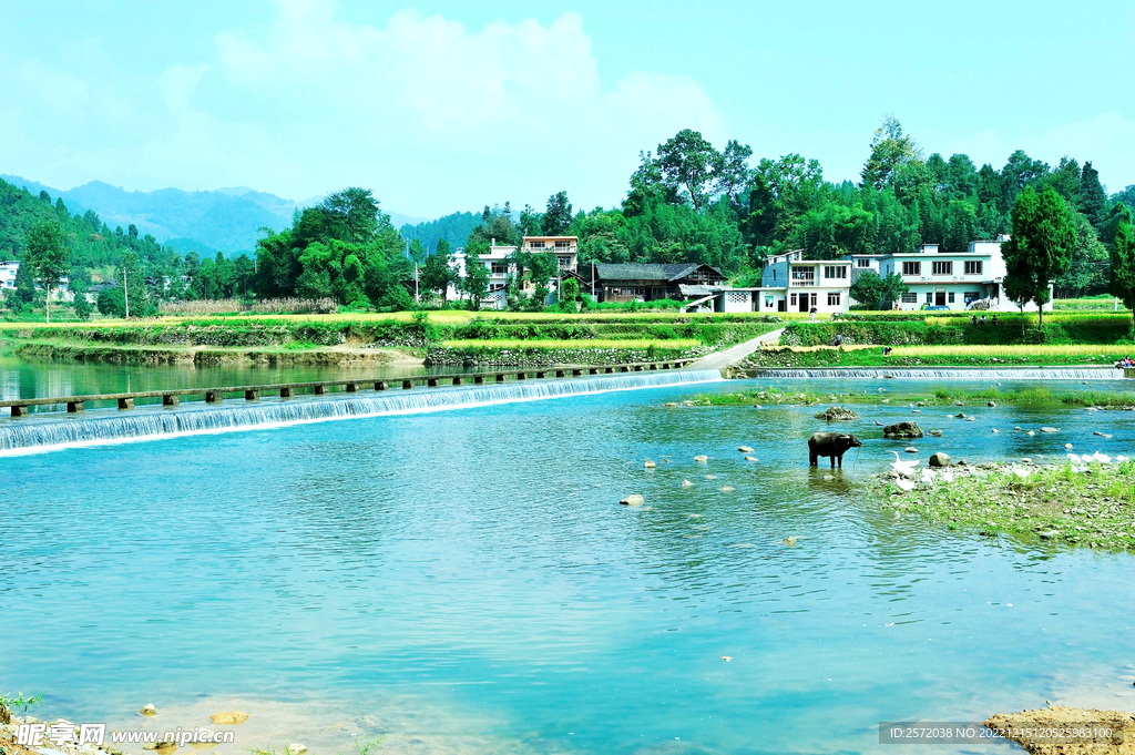 贵州洪渡河湿地