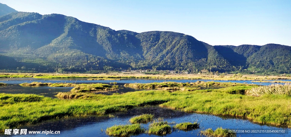 云南腾冲北海湿地