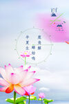 夏至二十四节气海报