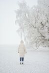 雪景