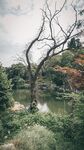 自然风景
