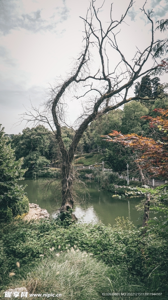 自然风景