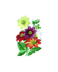  数码印花抽象花