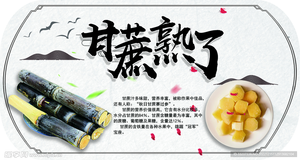 甘蔗熟了
