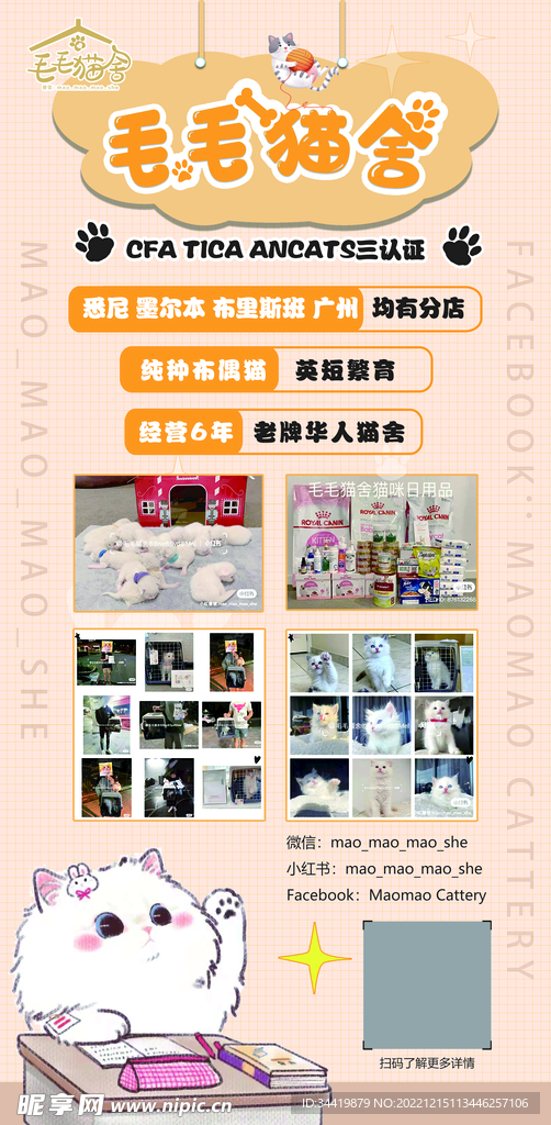 猫舍海报展架 活动卡通
