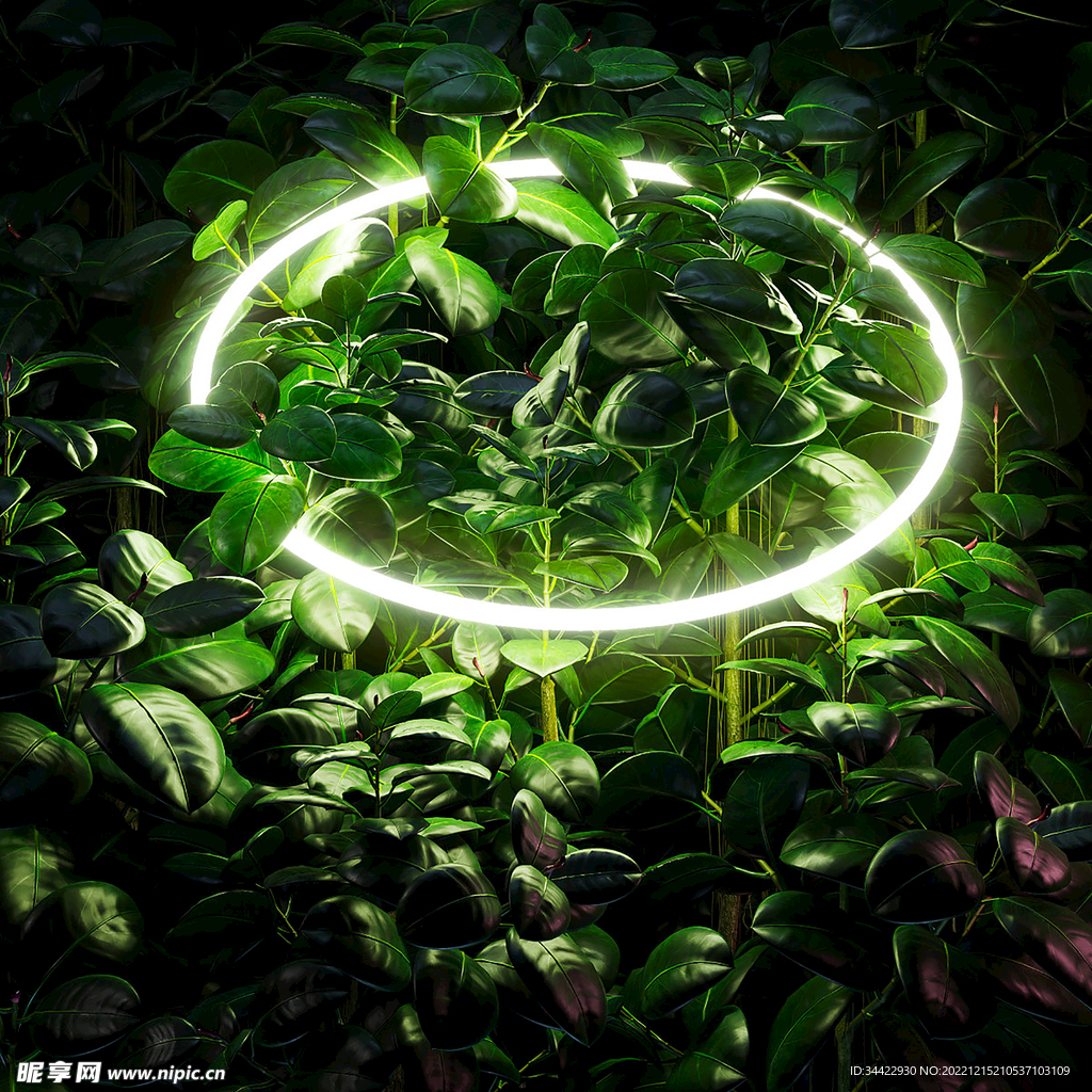 绿色植物背景底纹