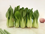 上海青蔬菜