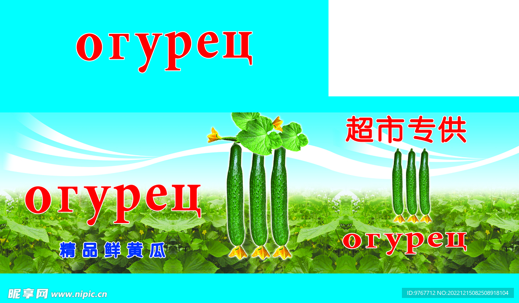 精品黄瓜包装