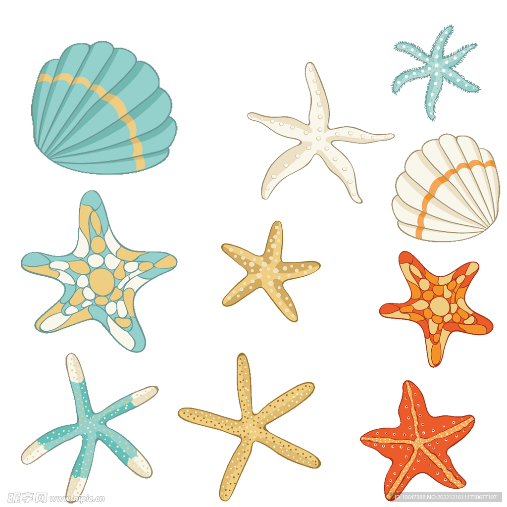 海星
